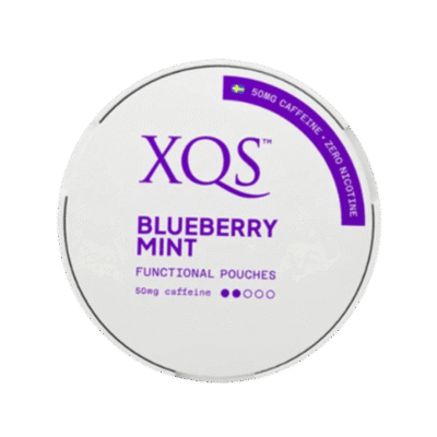 XQS Blueberry Mint [50mg/caffeine - 100mg/g]