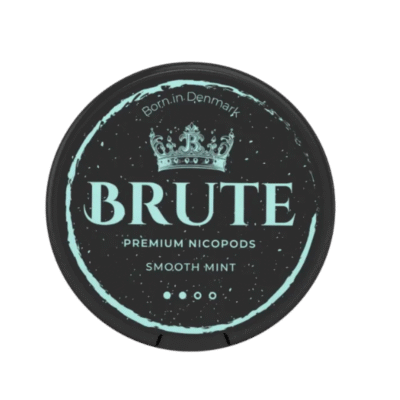 BRUTE Smooth Mint [9.5mg/pouch - 14.6mg/g]