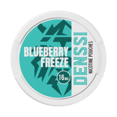 Denssi Blueberry Freeze [8mg/pouch - 16mg/g]