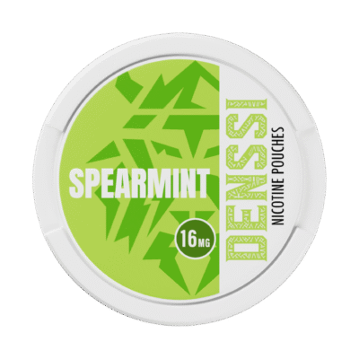 Denssi Spearmint 8mg/pouch