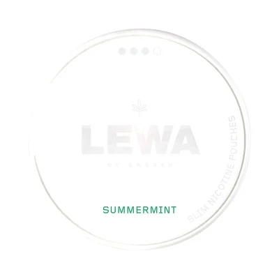 LEWA Summermint 9mg/pouch